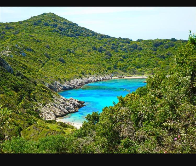 Ninos Corfu Villas Agios Georgios  ภายนอก รูปภาพ